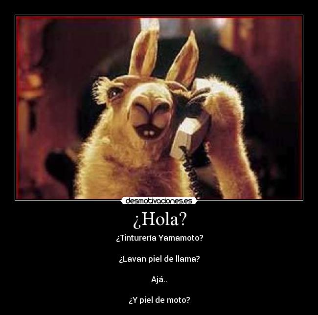 ¿Hola? - 