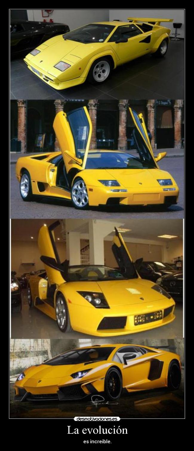 La evolución - es increible.