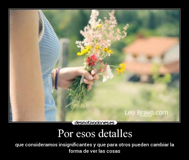 Por esos detalles - 