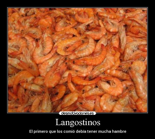 Langostinos - El primero que los comió debía tener mucha hambre