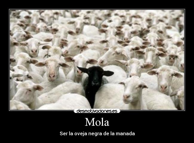 Mola - Ser la oveja negra de la manada