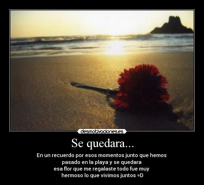Se quedara... - En un recuerdo por esos momentos junto que hemos
pasado en la playa y se quedara
esa flor que me regalaste todo fue muy
hermoso lo que vivimos juntos =D