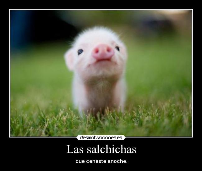 Las salchichas - 
