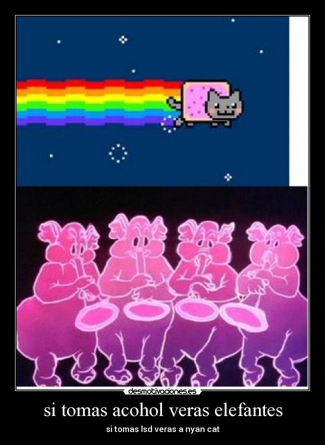 si tomas acohol veras elefantes -