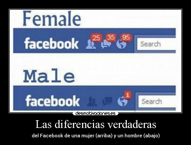 Las diferencias verdaderas - del Facebook de una mujer (arriba) y un hombre (abajo)