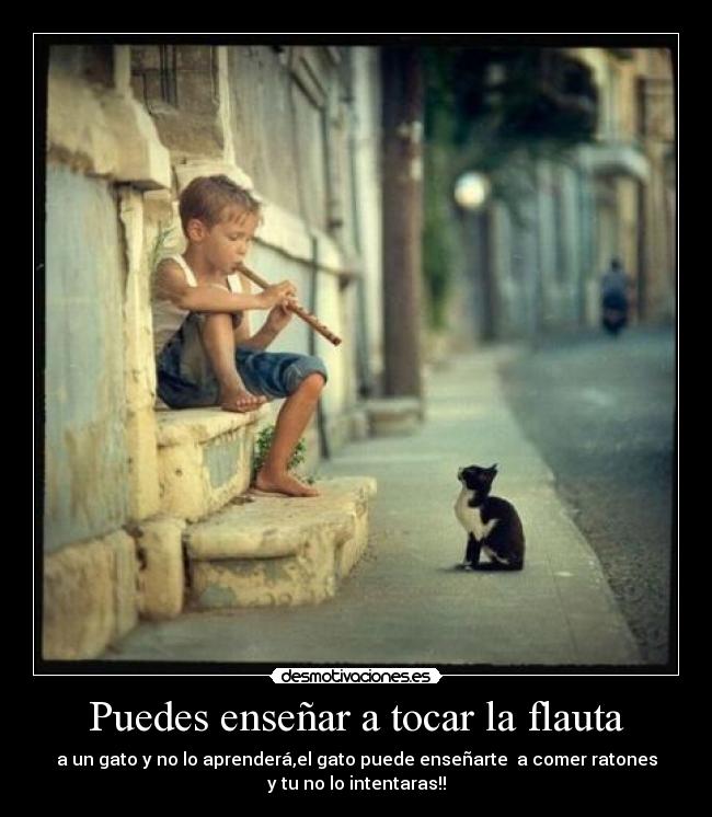 Puedes enseñar a tocar la flauta - a un gato y no lo aprenderá,el gato puede enseñarte a comer ratones
y tu no lo intentaras!!