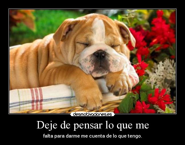 Deje de pensar lo que me - falta para darme me cuenta de lo que tengo.