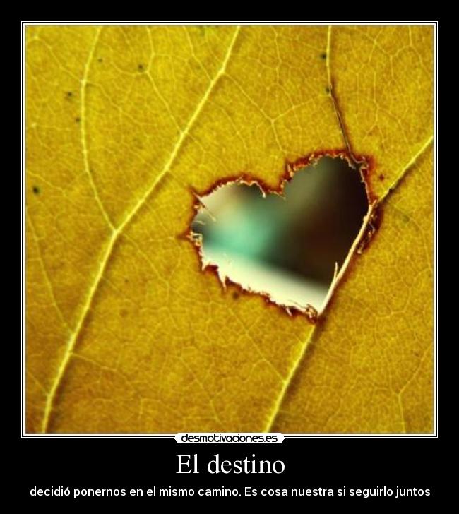 El destino -