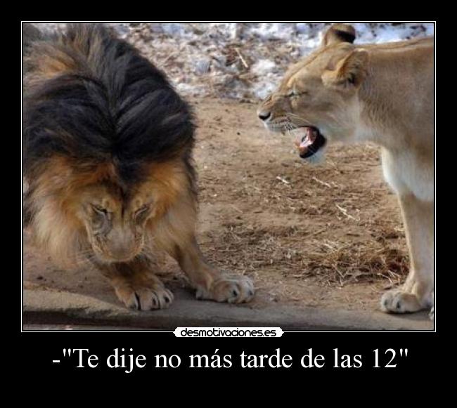 -Te dije no más tarde de las 12 - 