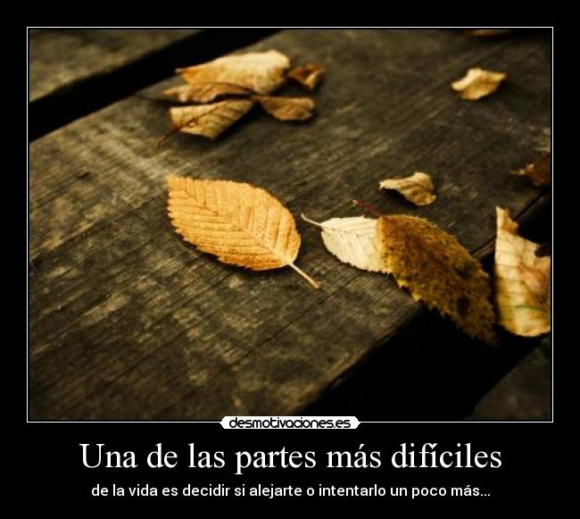 Una de las partes más difíciles - de la vida es decidir si alejarte o intentarlo un poco más...