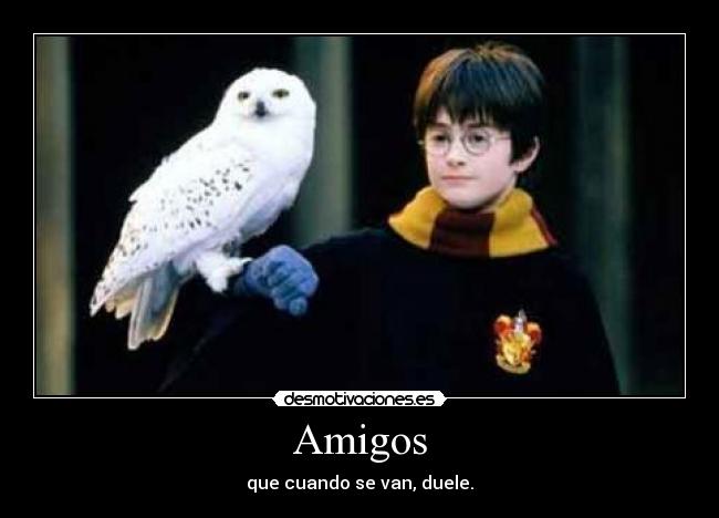 Amigos - que cuando se van, duele.