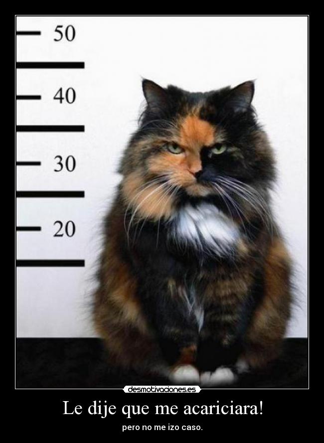Le dije que me acariciara! -