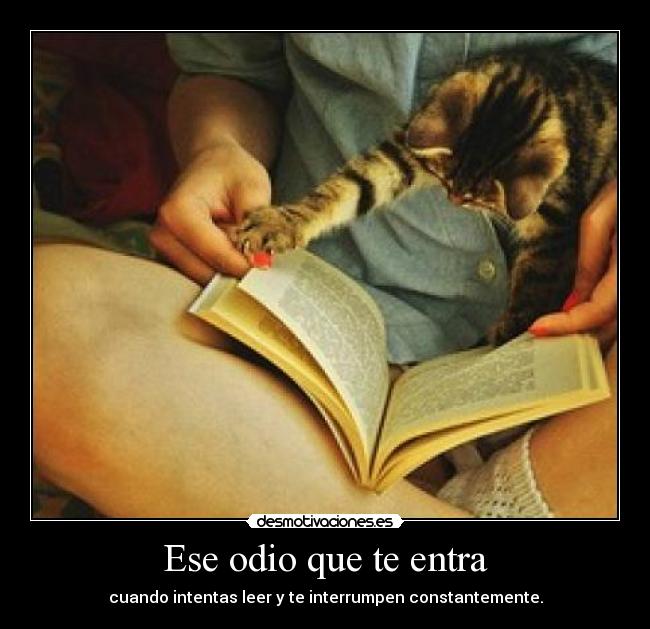 Ese odio que te entra - 