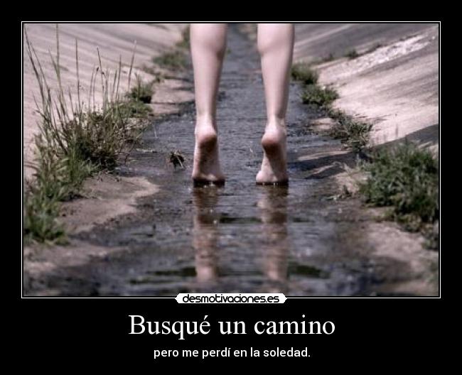 Busqué un camino - pero me perdí en la soledad.