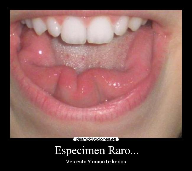 carteles como kedas desmotivaciones