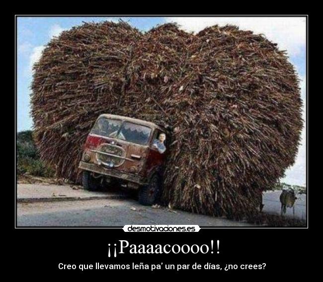 ¡¡Paaaacoooo!! - Creo que llevamos leña pa un par de días, ¿no crees?