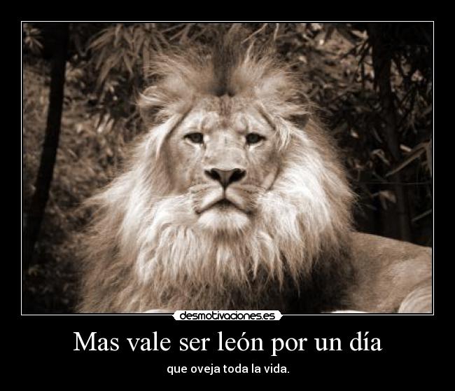 Mas vale ser león por un día - que oveja toda la vida.