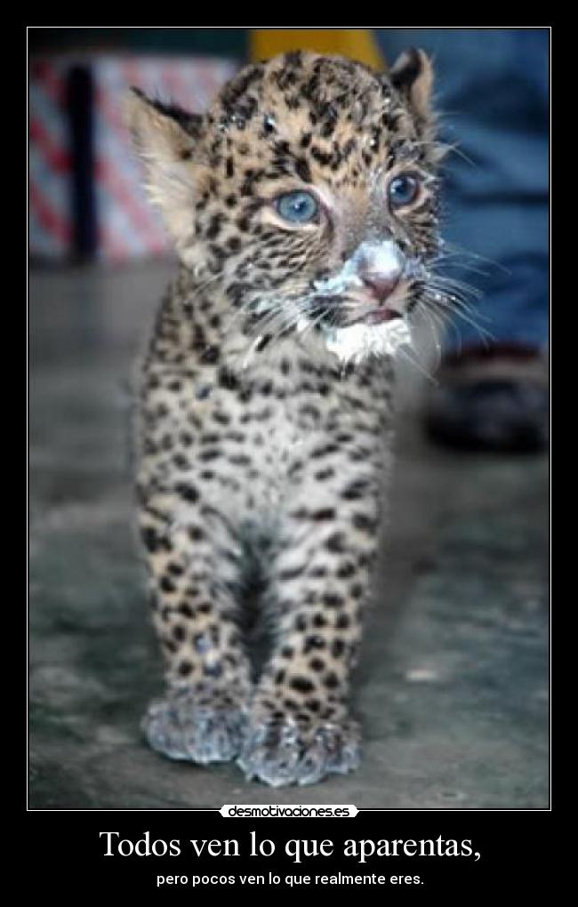 Todos ven lo que aparentas, -
