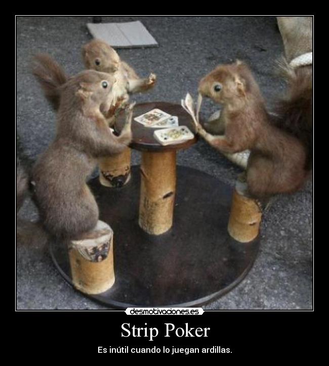 carteles las ardillas molan desmotivaciones