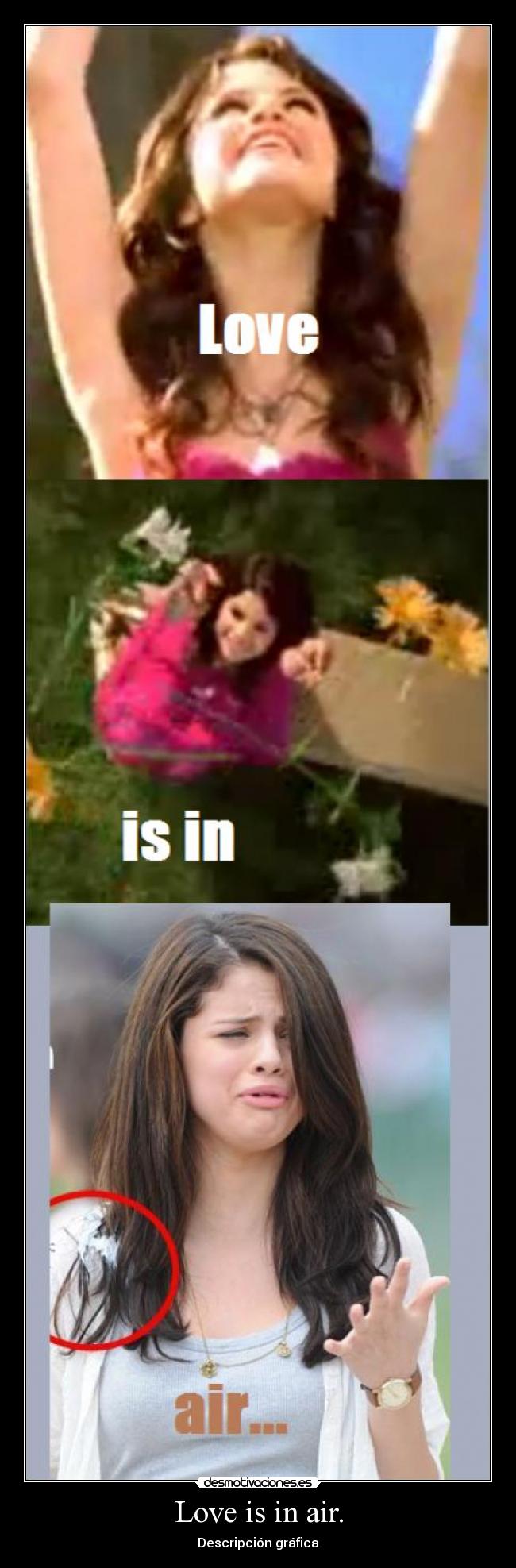 Love is in air. - Descripción gráfica