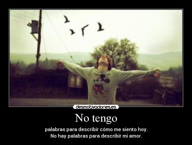 No tengo - palabras para describir cómo me siento hoy.
No hay palabras para describir mi amor.