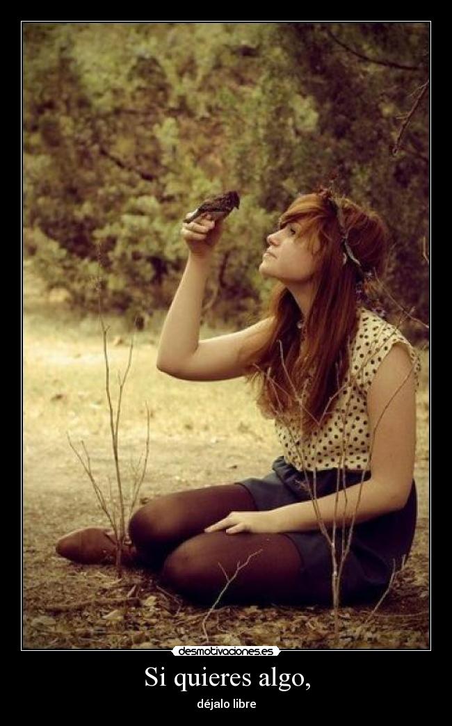 Si quieres algo, -