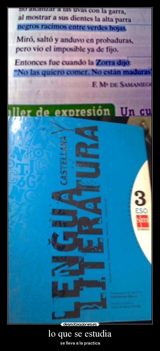 lo que se estudia - se lleva a la practica