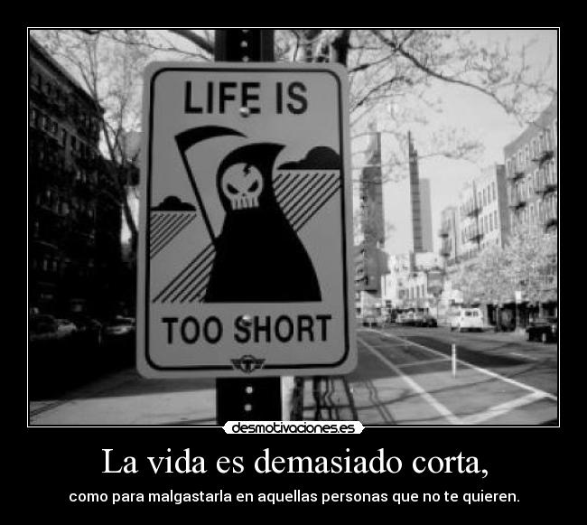 carteles vida life too short vida demasiado corta malgastes desmotivaciones