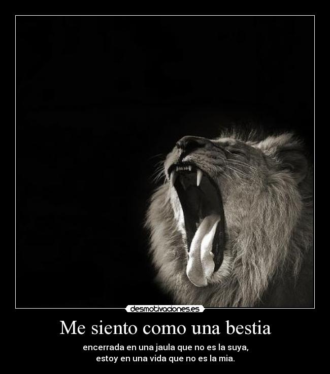 Me siento como una bestia - encerrada en una jaula que no es la suya,
estoy en una vida que no es la mia.