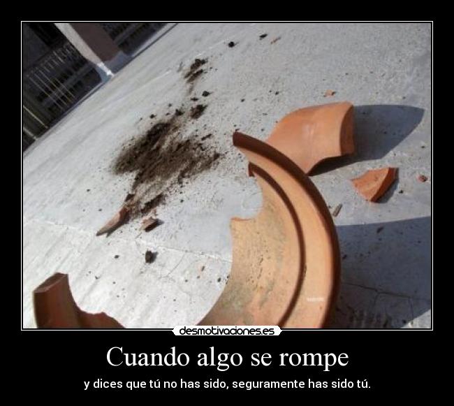 Cuando algo se rompe - y dices que tú no has sido, seguramente has sido tú.
