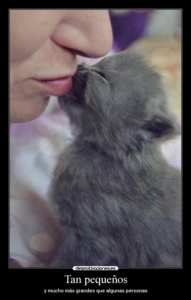 Tan pequeños -