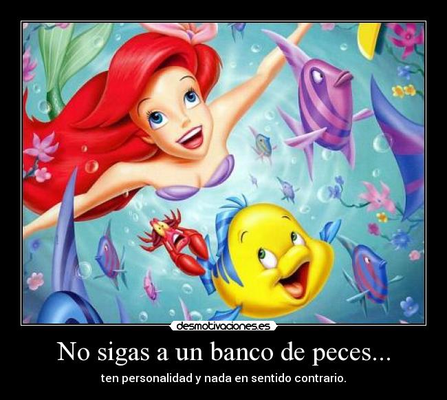 No sigas a un banco de peces... - ten personalidad y nada en sentido contrario.