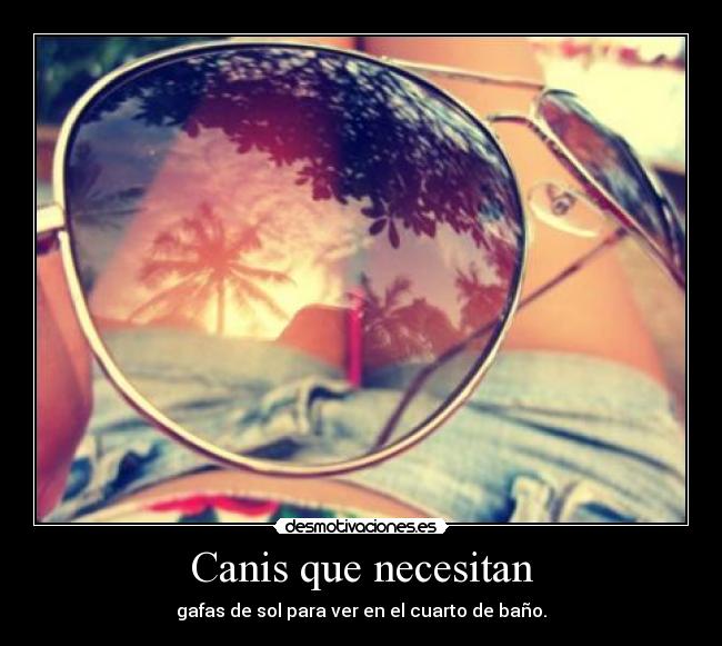 Canis que necesitan -