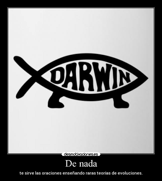 De nada - 