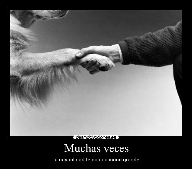 Muchas veces - la casualidad te da una mano grande