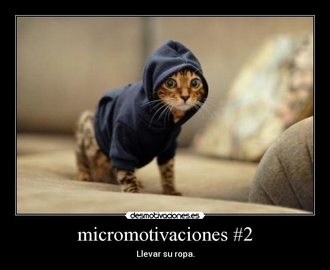 micromotivaciones #2 -