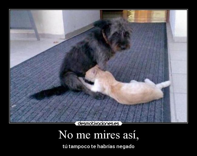 No me mires así, -
