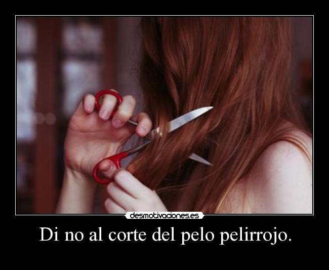 Di no al corte del pelo pelirrojo. -