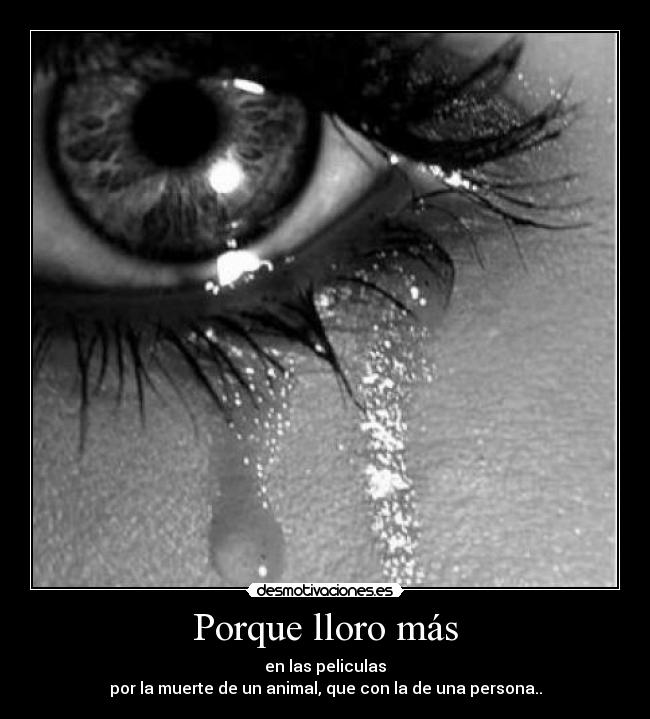 Porque lloro más - en las peliculas
por la muerte de un animal, que con la de una persona..