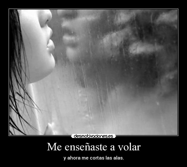 Me enseñaste a volar - y ahora me cortas las alas.