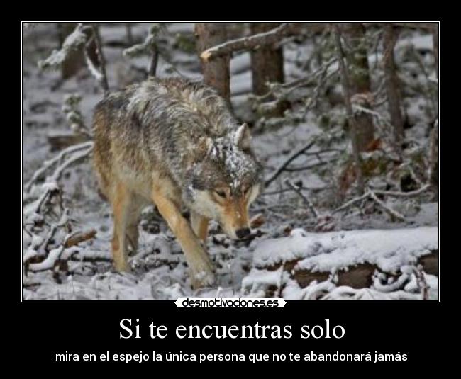Si te encuentras solo - mira en el espejo la única persona que no te abandonará jamás