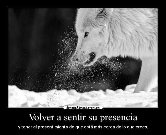 Volver a sentir su presencia -