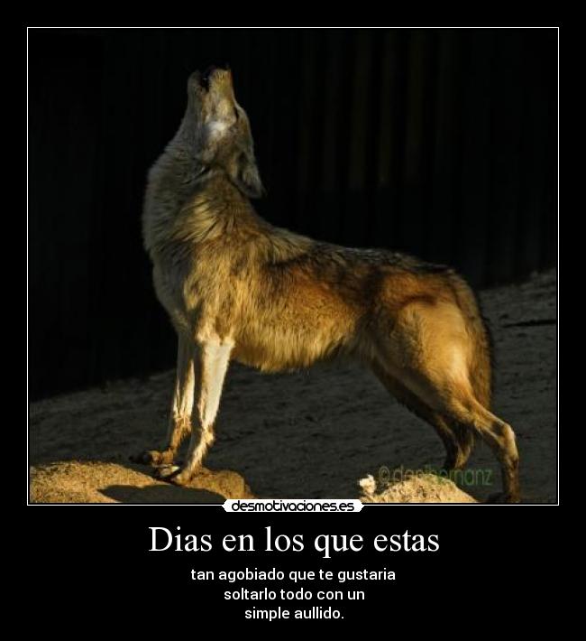 Dias en los que estas - tan agobiado que te gustaria
soltarlo todo con un
simple aullido.