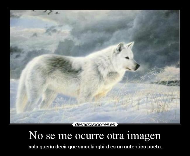 No se me ocurre otra imagen - 