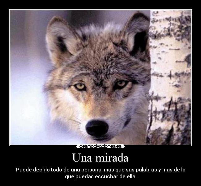 Una mirada - Puede decirlo todo de una persona, más que sus palabras y mas de lo
que puedas escuchar de ella.