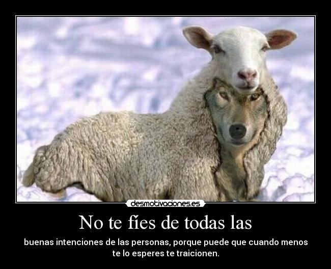 No te fíes de todas las - buenas intenciones de las personas, porque puede que cuando menos
te lo esperes te traicionen.