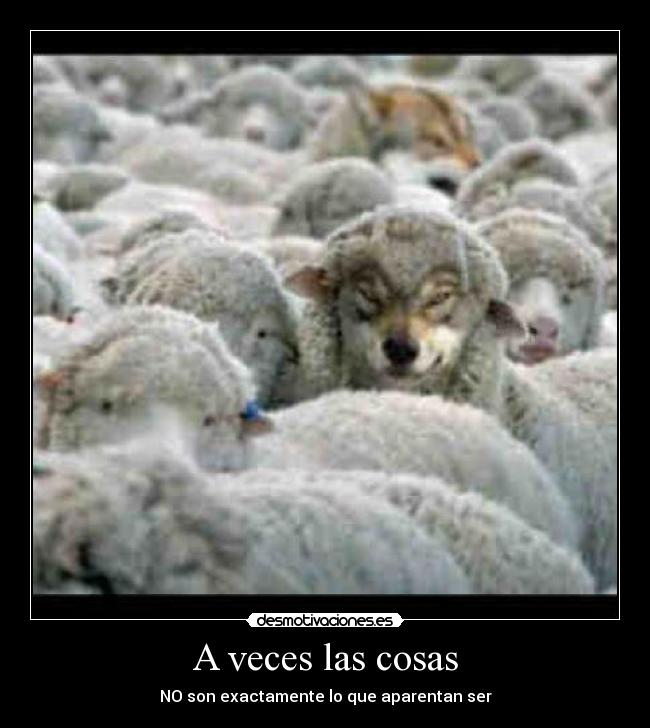 A veces las cosas - 
