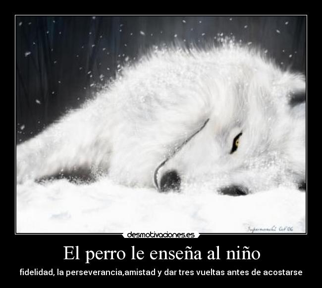 El perro le enseña al niño - fidelidad, la perseverancia,amistad y dar tres vueltas antes de acostarse