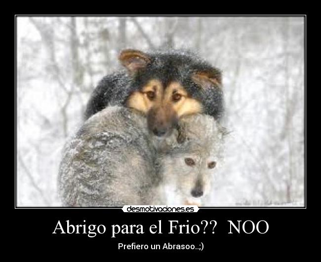 Abrigo para el Frio?? NOO -