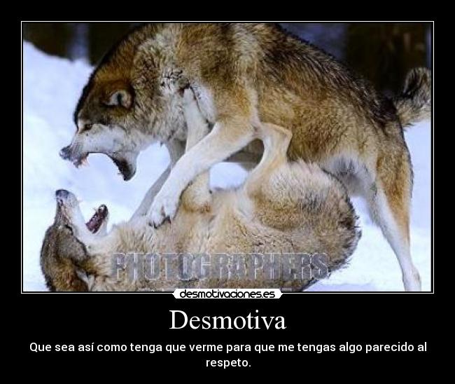 carteles miedo respeto lobos desmotiva desmotivaciones